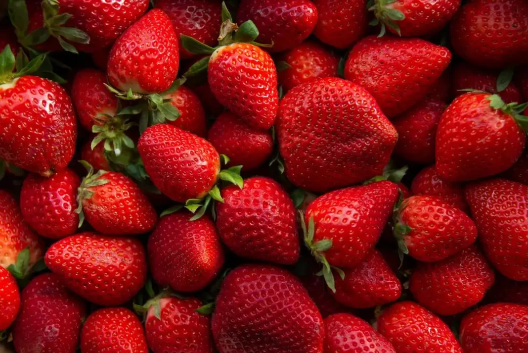 Can You Eat Strawberries After Wisdom Teeth Removal